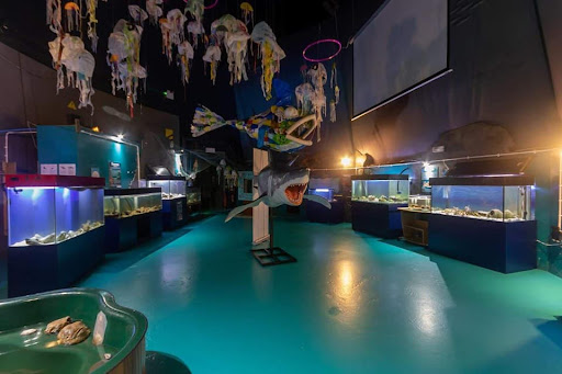 Sea Trust - Ocean Lab Aquarium