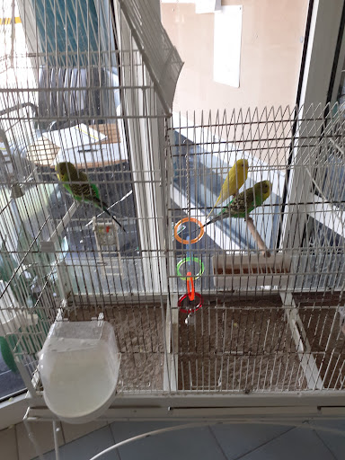 Photo de Résidence Colisée Le Château du Bois à Saint-Folquin (62370)