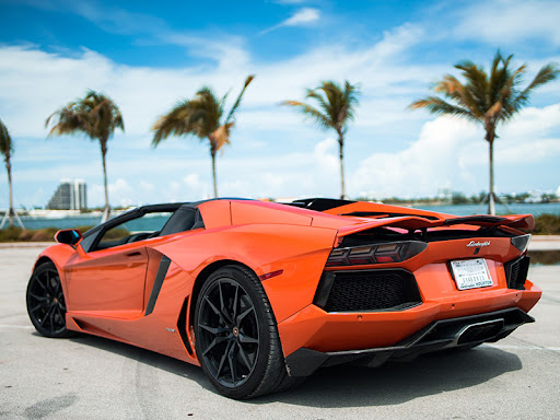Starr Luxury Cars - Miami Gallery - United States