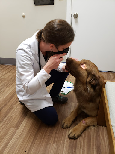Poulsbo Animal Clinic - Thumbnail