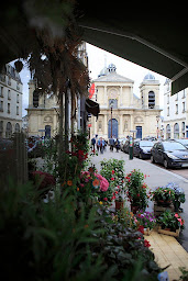 Photo n°29 de Arbre à pivoines à Versailles (Boutique d'articles de mariage)