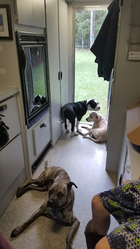 Wags & Whiskers Mobile Veterinary Practice - Thumbnail