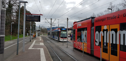 Am Lindenwäldle - Freiburg im Breisgau - Thumbnail