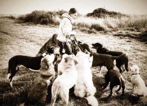 The Natural Pet Centre - Thumbnail