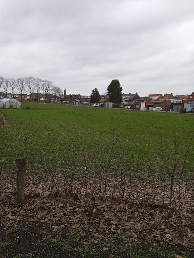 Stabroek Moretuslei - Thumbnail