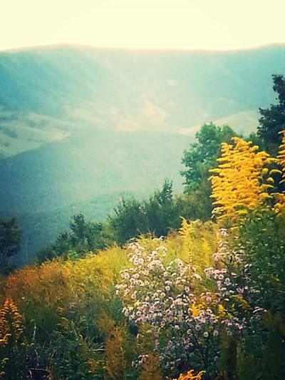 Photos of Spruce Knob Lake Campground