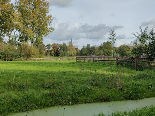 Het Groene Hart - Thumbnail