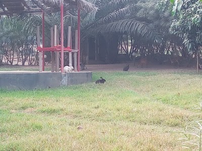 Photos of Kyabobo Center Guesthouse