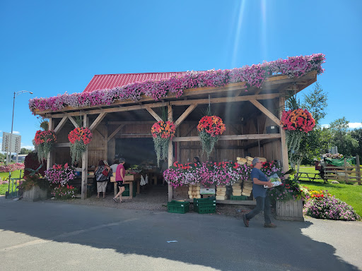 Ferme Monarque - Visual