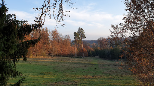 Wildbeobachtungskanzel