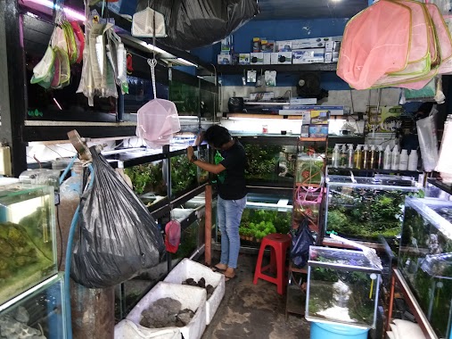 Raden Inten Aquarium, Author: puji bocil bocil