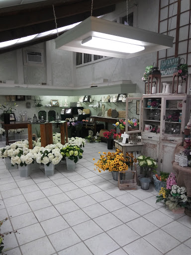 New Leaf Flower & Plant Shop - Thumbnail