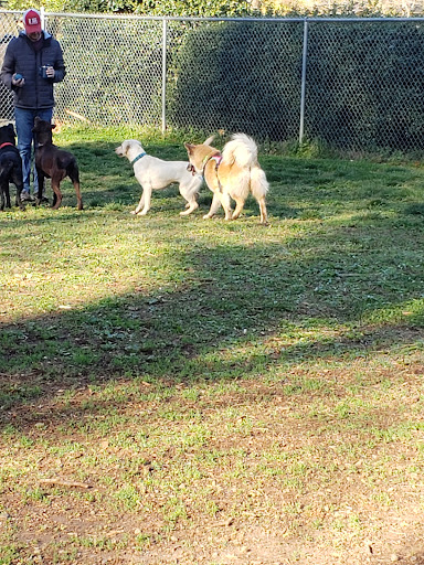 Elon Dog Park - K-9 Corner at Schmidt Park - Thumbnail