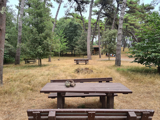 Santuario delle Farfalle «Ornella Casnati» - Thumbnail