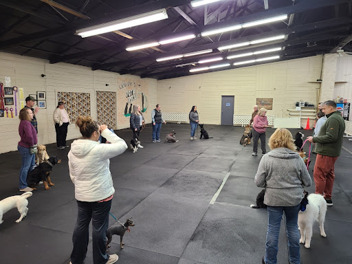 Total Recall School for Dogs - United States