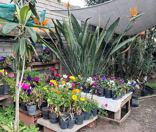 Vivero Feria Verde - Foto 1