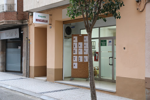 Finques Minguella - Thumbnail