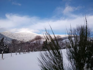 Photo n°13 de Gite Du Randonneur à Ranspach (Location d'appartement de vacances)