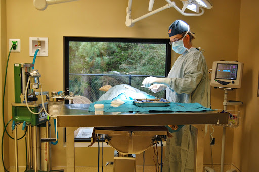 West Madison Veterinary Hospital and Pet Resort Gallery - United States