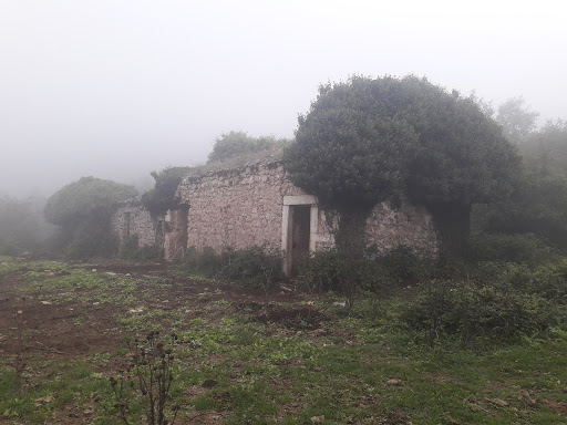 San Marco in Lamis - SP48 Bivio Bosco Rosso dir.SML - Thumbnail