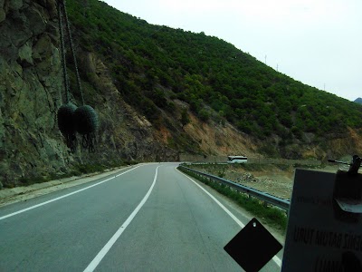 Photos of Spider Forest and Nature Conservation Areas