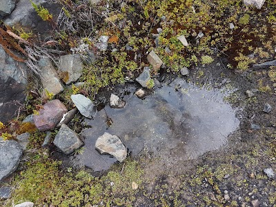 Photos of Laguna Marmolcocha
