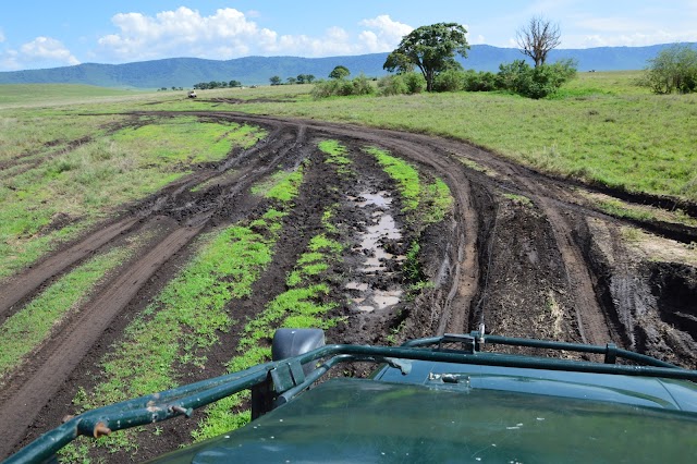 Ngorongoro Conservation Area