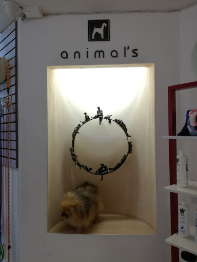 Animal's Médicos Veterinarios - Thumbnail