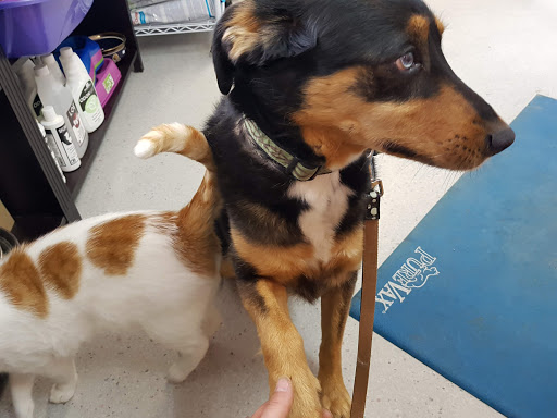 Prairie East Veterinary Clinic - Thumbnail