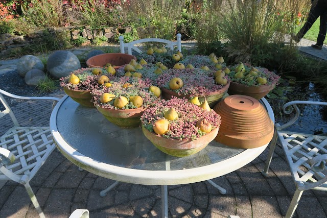 De Tuinen van Appeltern