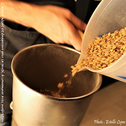 Photo n°9 de La Brasserie Berroise (SAS Hugins Brew) à Berre-les-Alpes (Marchand de bière)