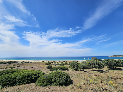 Visitas guiadas y Free tours en Tarifa. Entre Mares Tours - Thumbnail