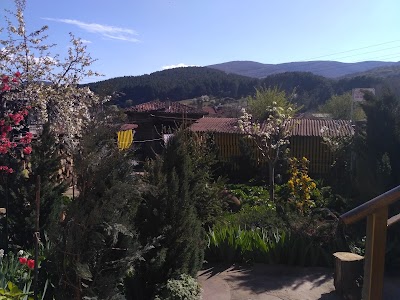 Photos of Hotel Konstans