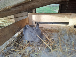 Photo n°23 de Domaine d'Écoline - site agro-touristique Gironde à Sadirac (Ferme à visiter)