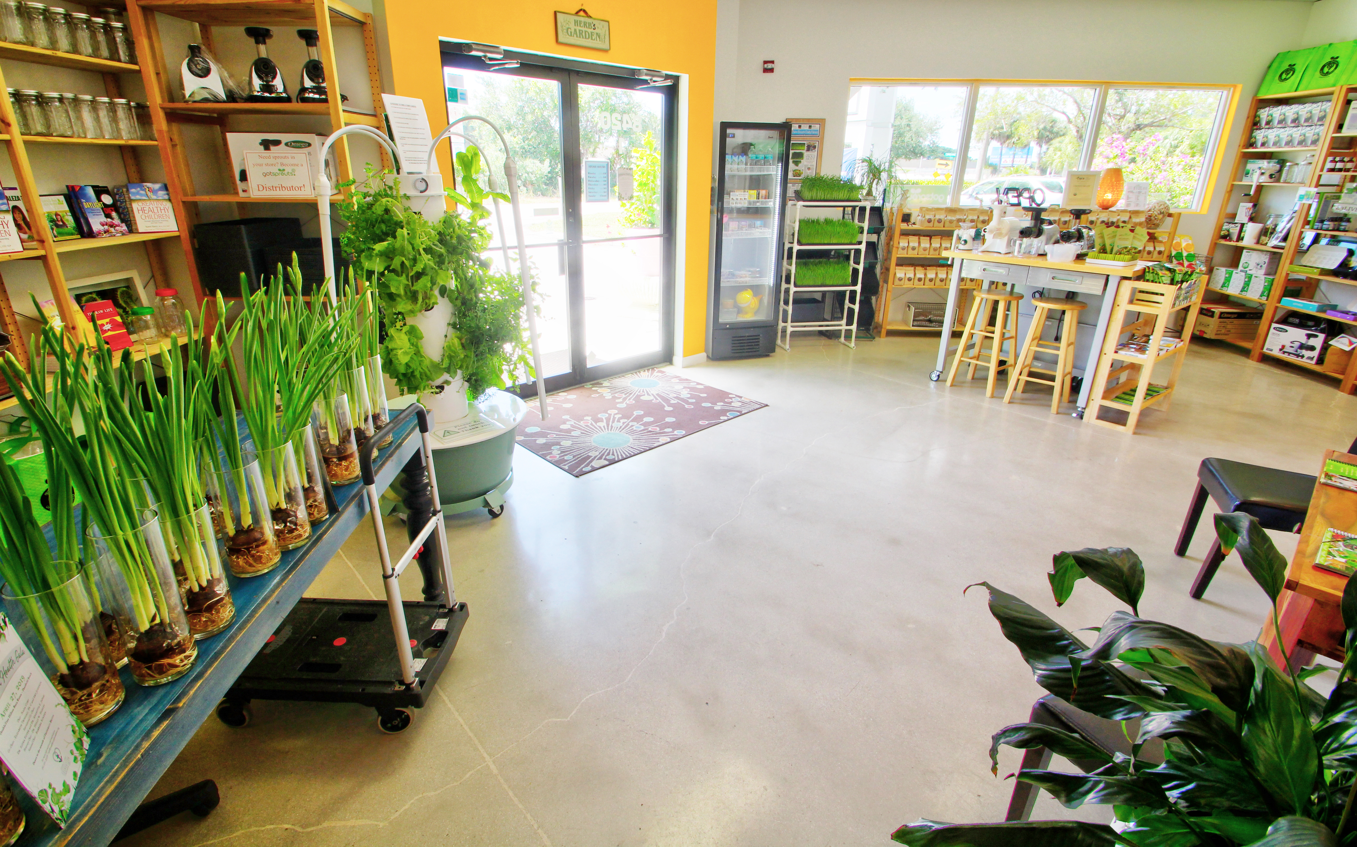 Ophema Farms + Juicery with Got Sprouts