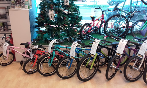 Bikewise - Visual