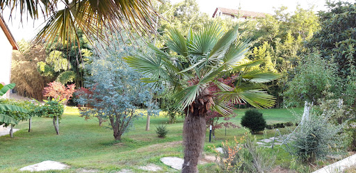 Istanti - Visual