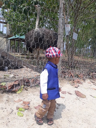 Photos of Jamunkhadi Zoo