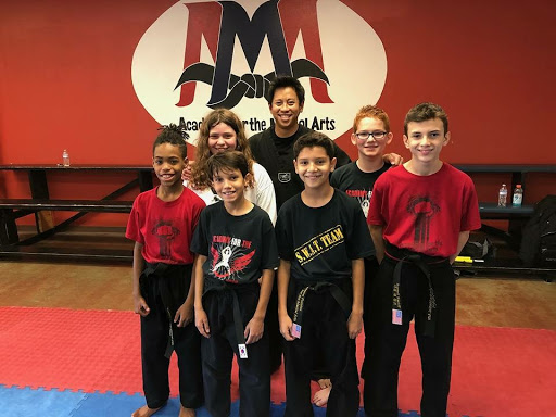 Academy For the Martial Arts - Thumbnail