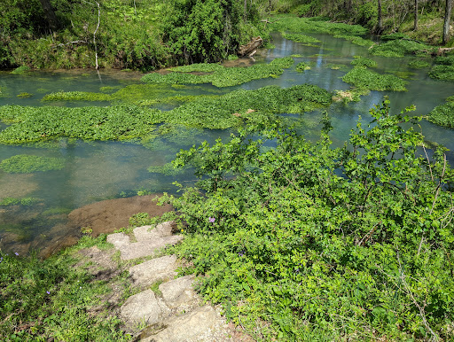 Lane Spring Recreation Area - Thumbnail