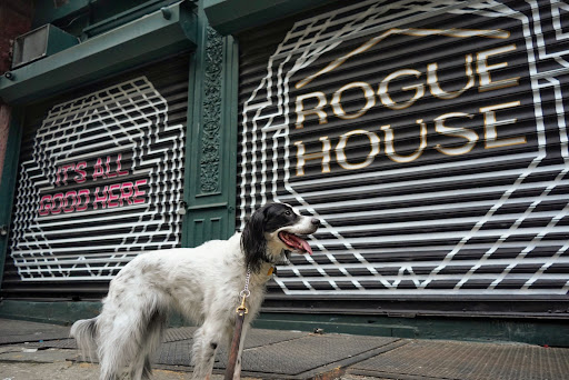 Rogue House Salon - Thumbnail