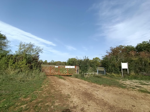 Camp préhistorique de Myard - Thumbnail
