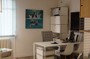 Photo n°3 de CABINET ORTHODONTIE DR MARTEL SOLANGE à Montastruc-la-Conseillère (Orthodontiste)