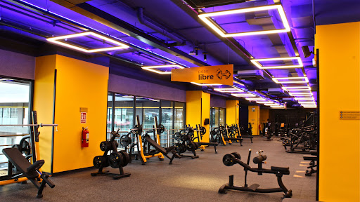 Smart Fit | Greenwood