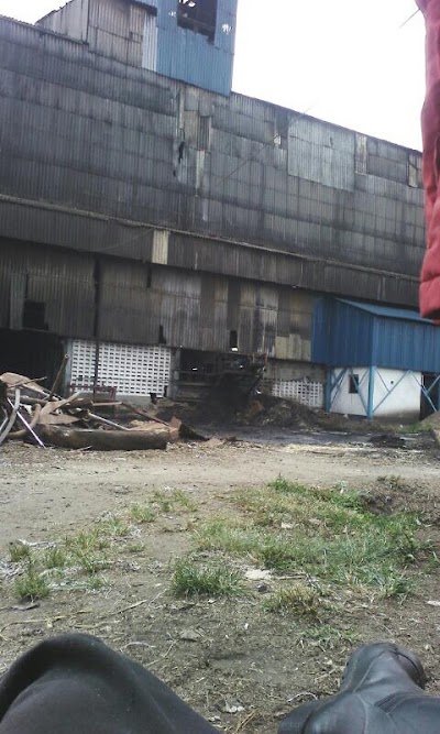 Photos of Sony Sugar