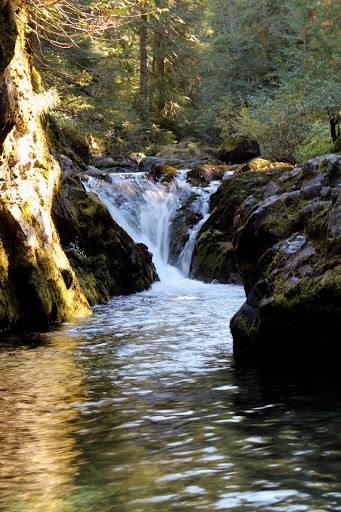 Opal Creek Wilderness - Thumbnail