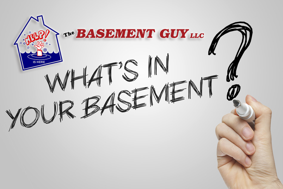 The Basement Guy photo