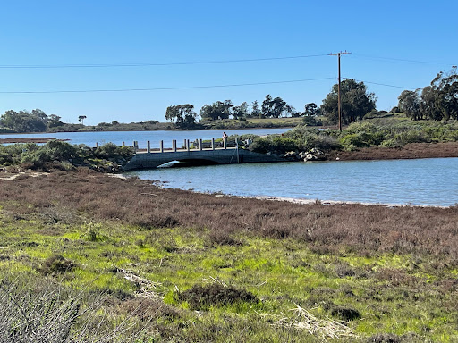 Wells-Elings Marsh Trail