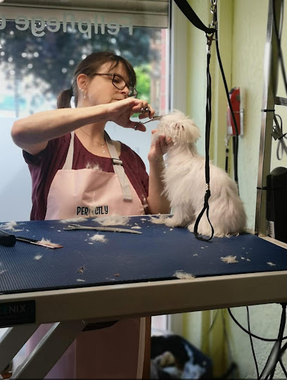 Foto von Hundesalon Fellpflege und mehr…