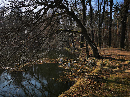 Neuteich - Visual